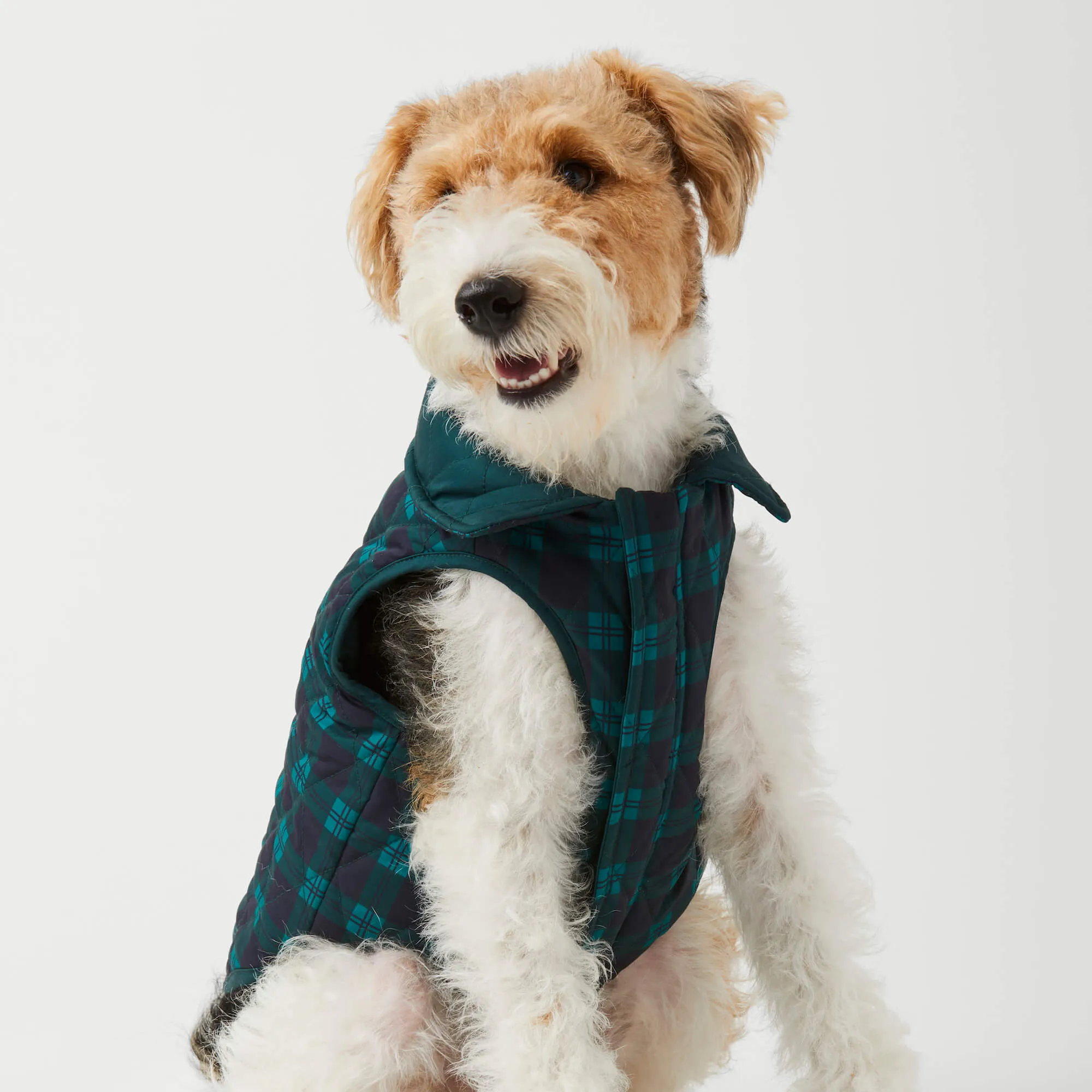 Black Watch Plaid Reversible Dog Jacket