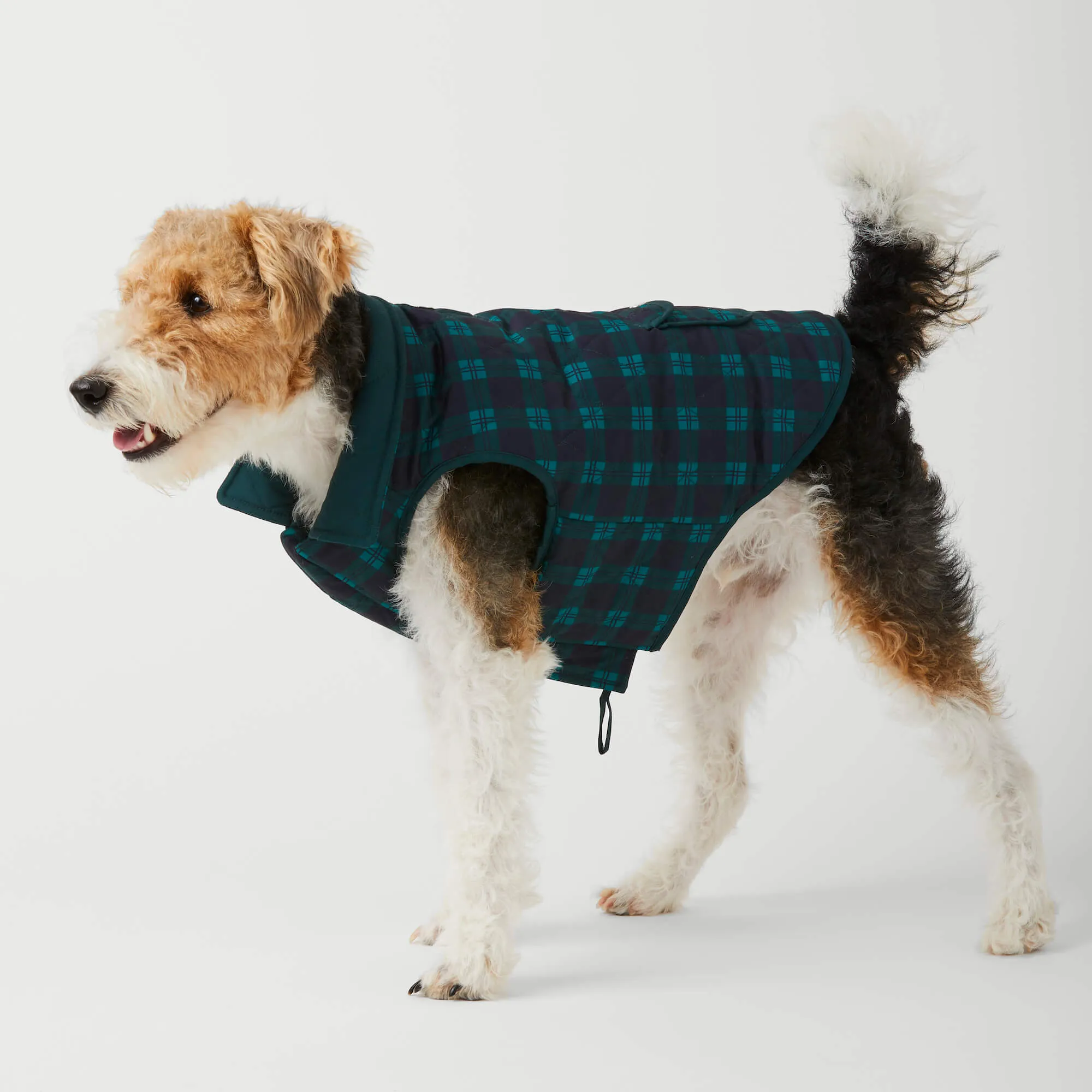 Black Watch Plaid Reversible Dog Jacket