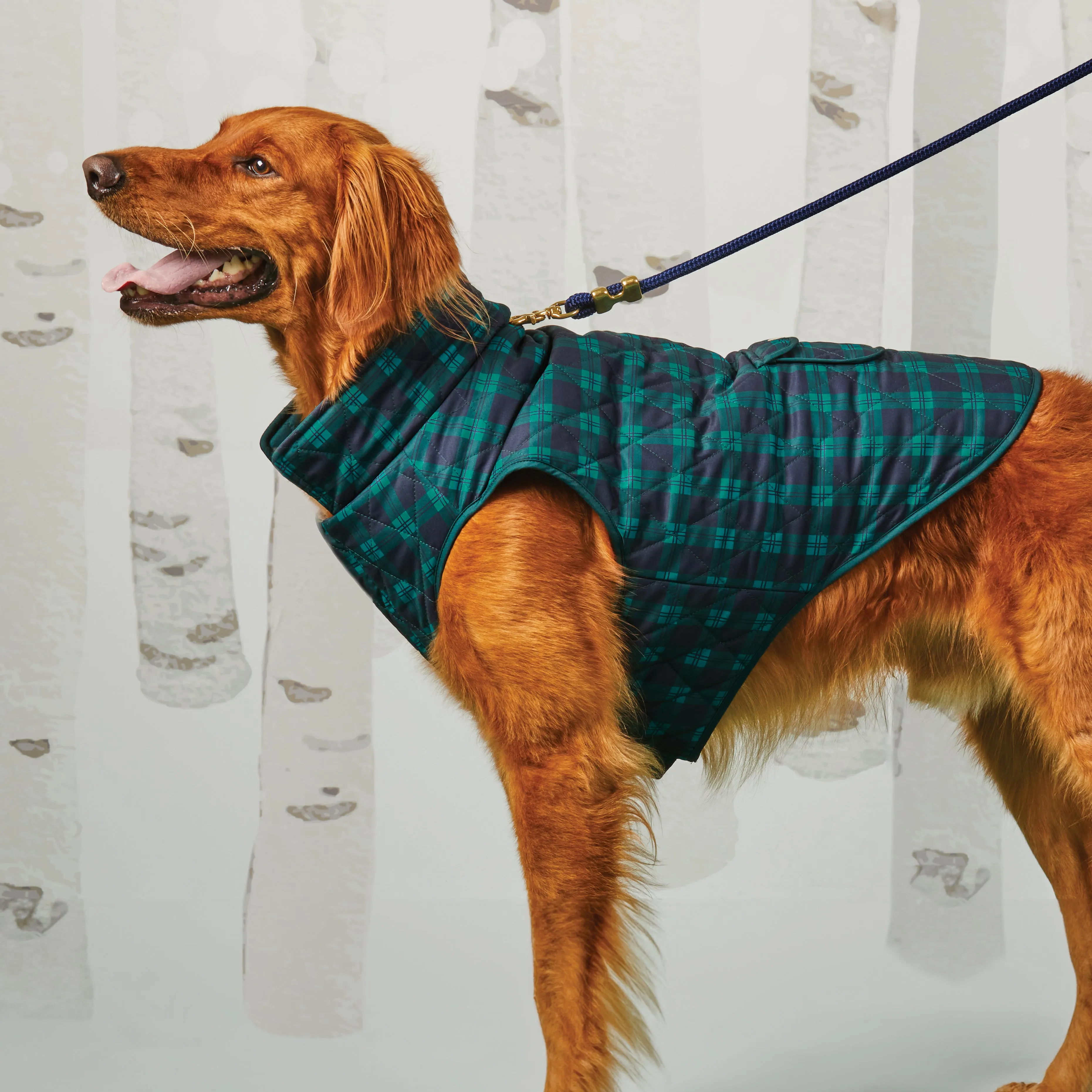 Black Watch Plaid Reversible Dog Jacket