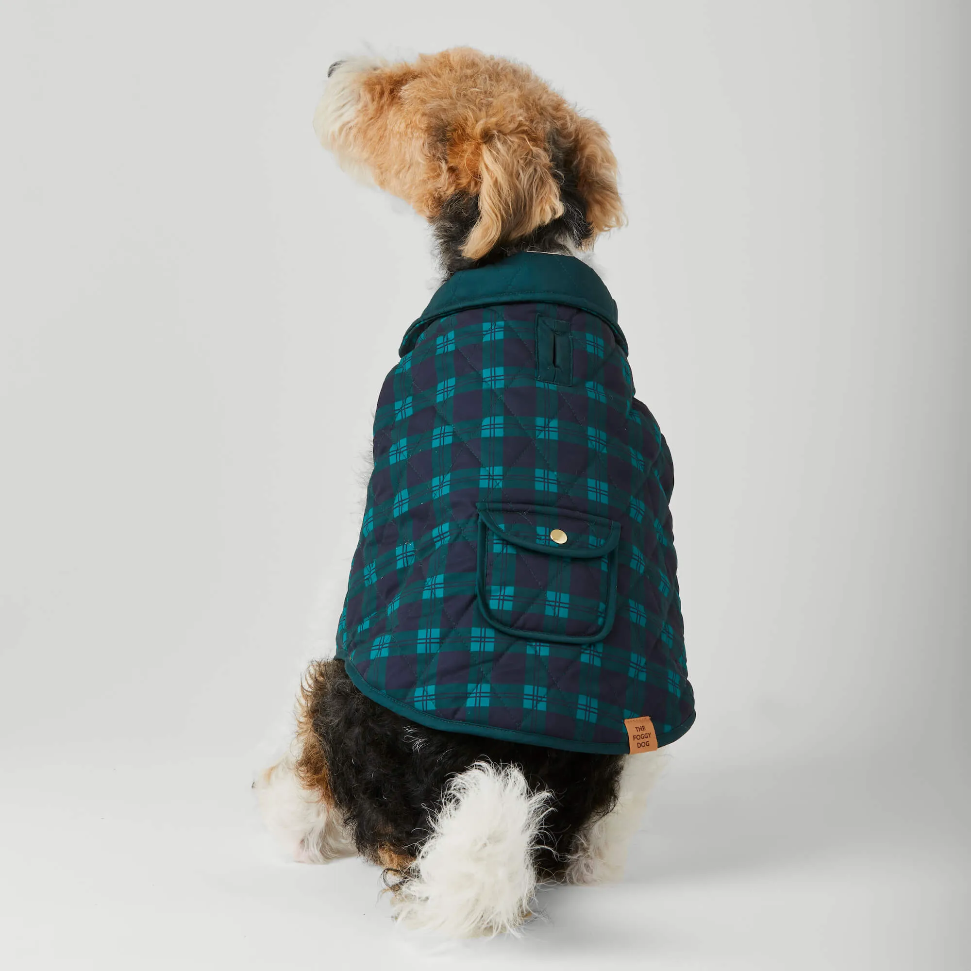 Black Watch Plaid Reversible Dog Jacket