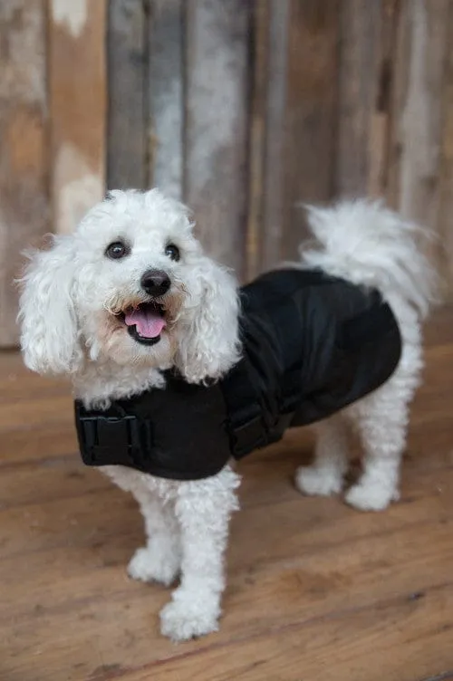 Clancy Oilskin Canine Coat