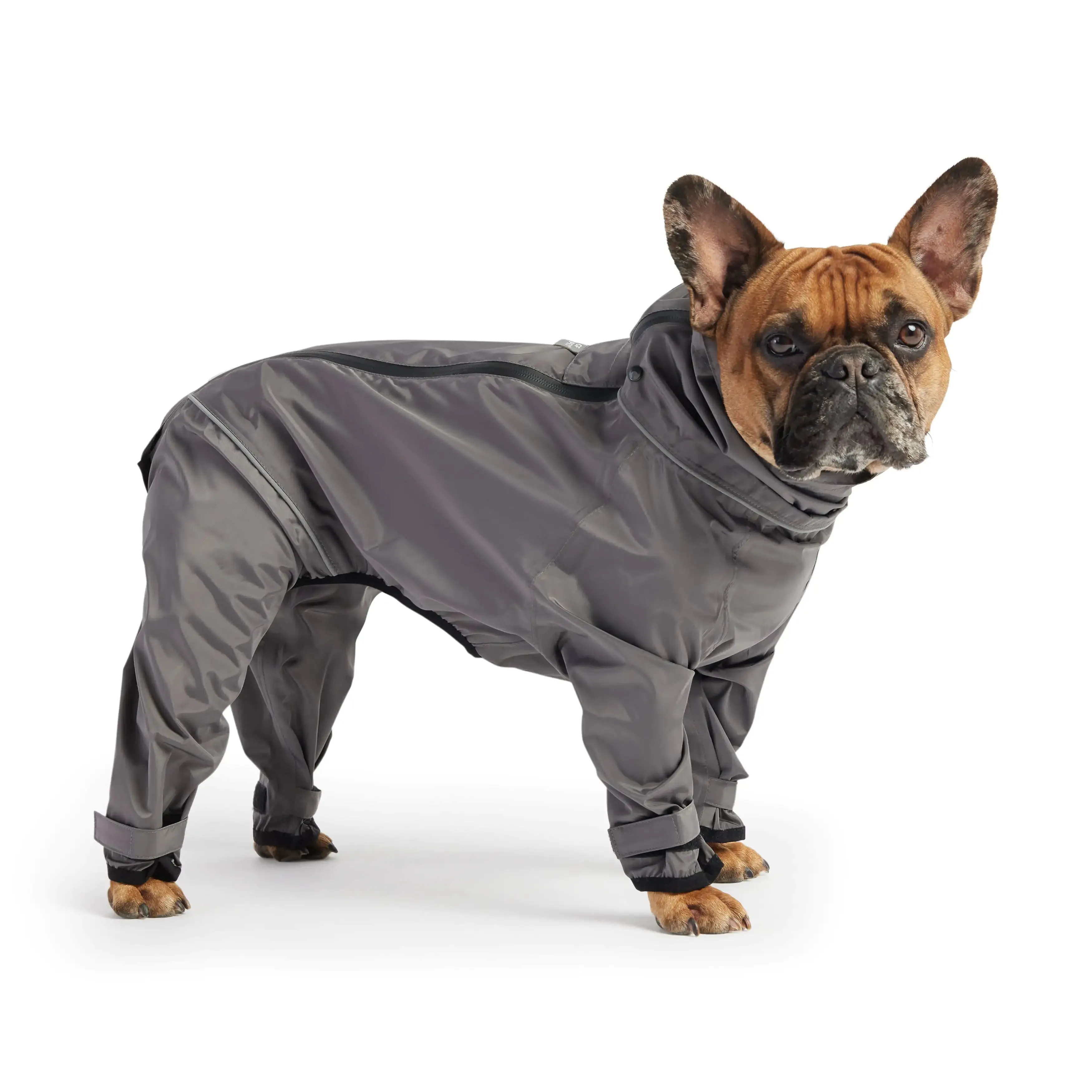 Full Body Waterproof Dog Splash Suit w/ 4 Legs, Zipper & Reflective Piping - Charcoal