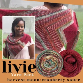 Livie Shawl Yarn Pack, pattern not included, ready to ship